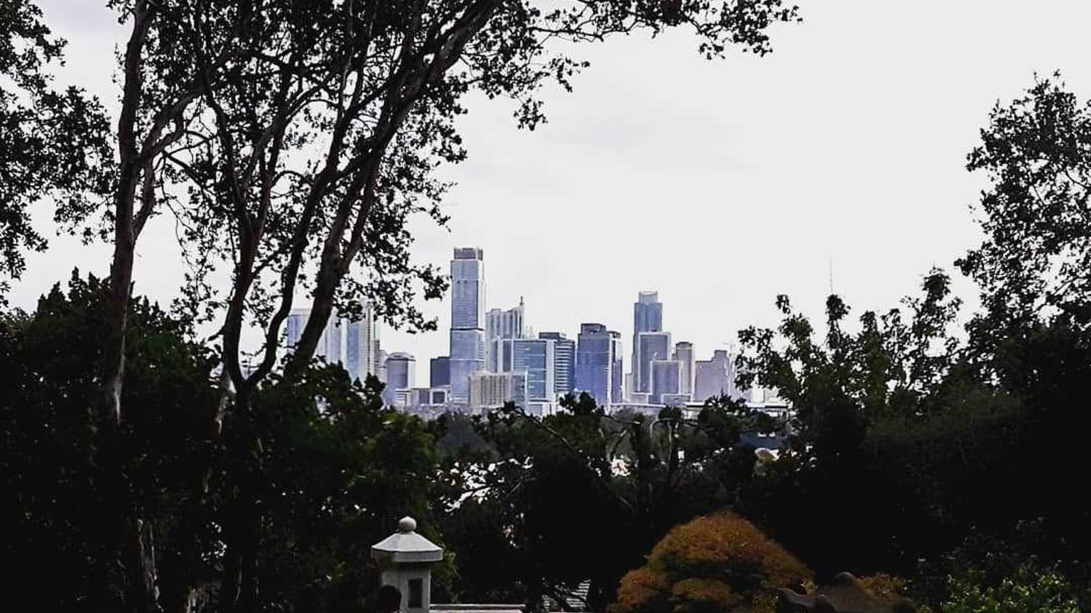 Austin skyline viewed from Zilker Botanical Garden